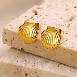Arete Concha Acero