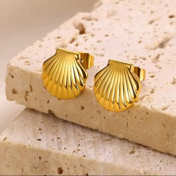 Arete Concha Acero